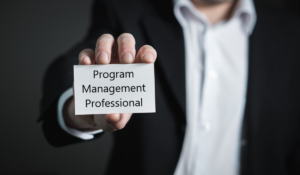 Program Management Professional